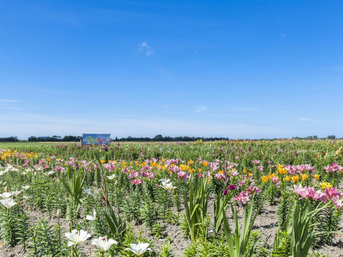 Charming Holiday Home Near Beach In Meliskerke Экстерьер фото